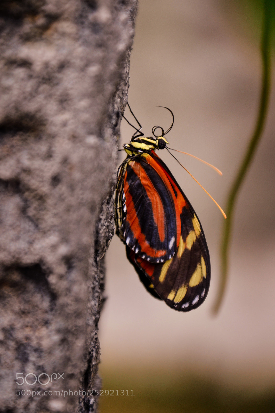 Nikon D3100 sample photo. Colors! photography
