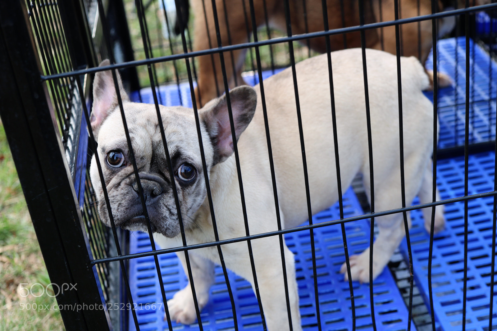 Canon EOS 760D (EOS Rebel T6s / EOS 8000D) sample photo. Somebody doesn t like photography