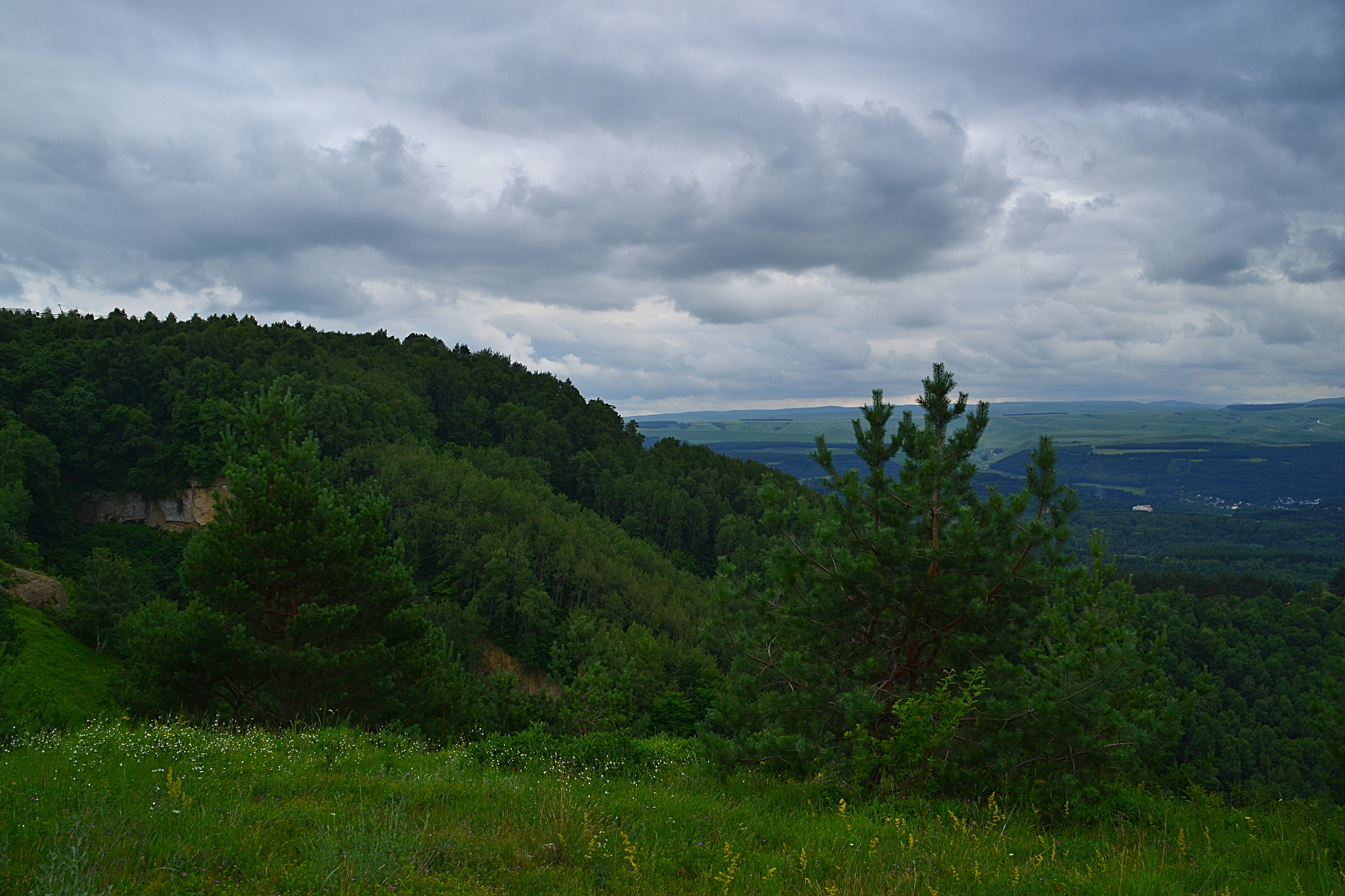 Nikon D3100 sample photo. Greenery on the edge photography