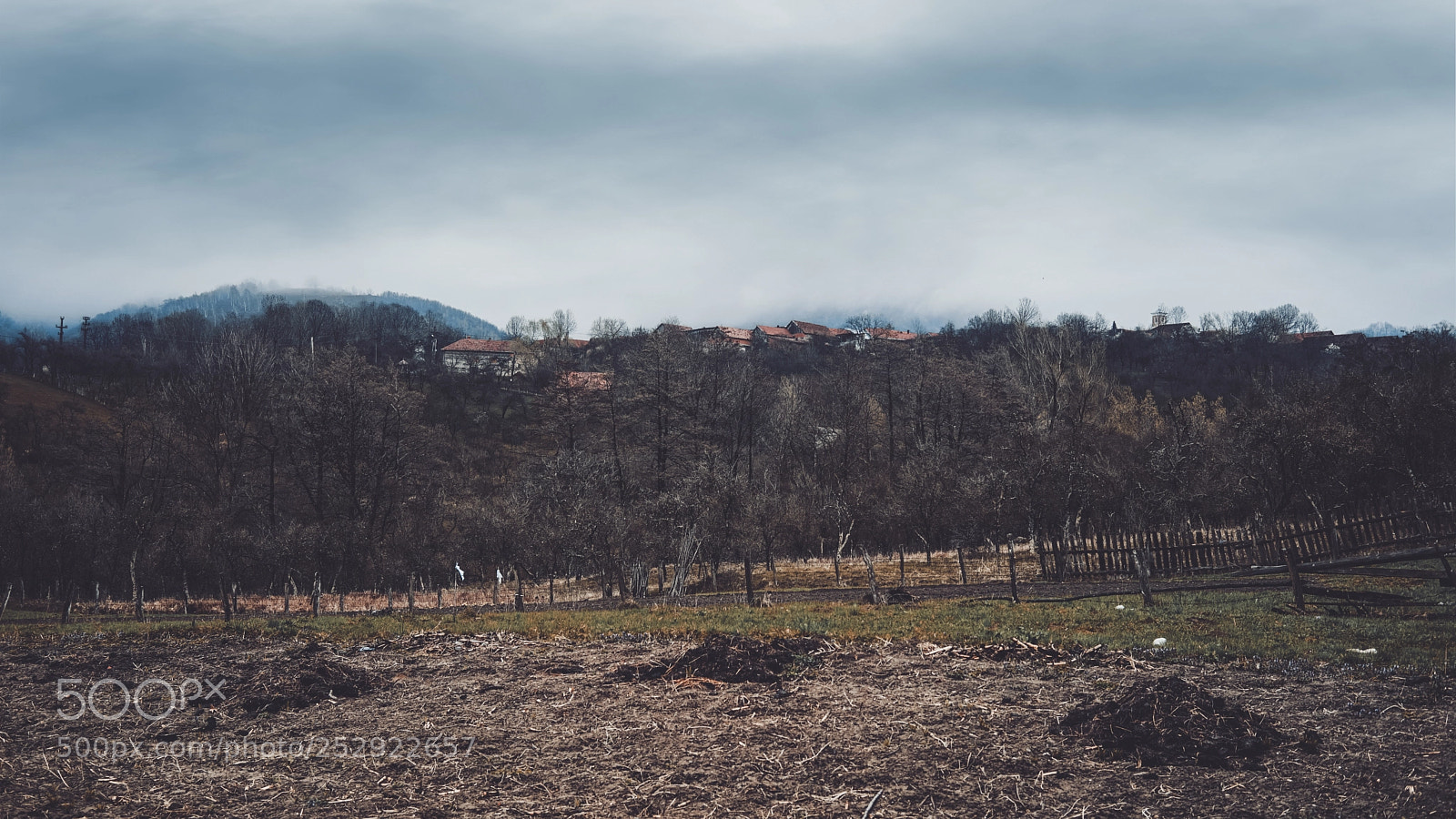 Sony a7 sample photo. The fog photography