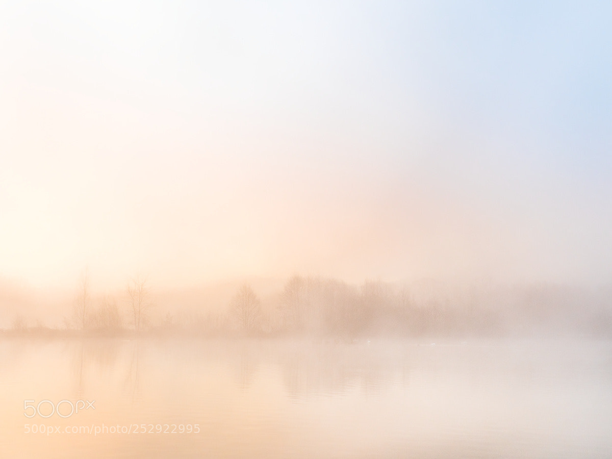Olympus OM-D E-M5 II sample photo. Morgenlicht photography