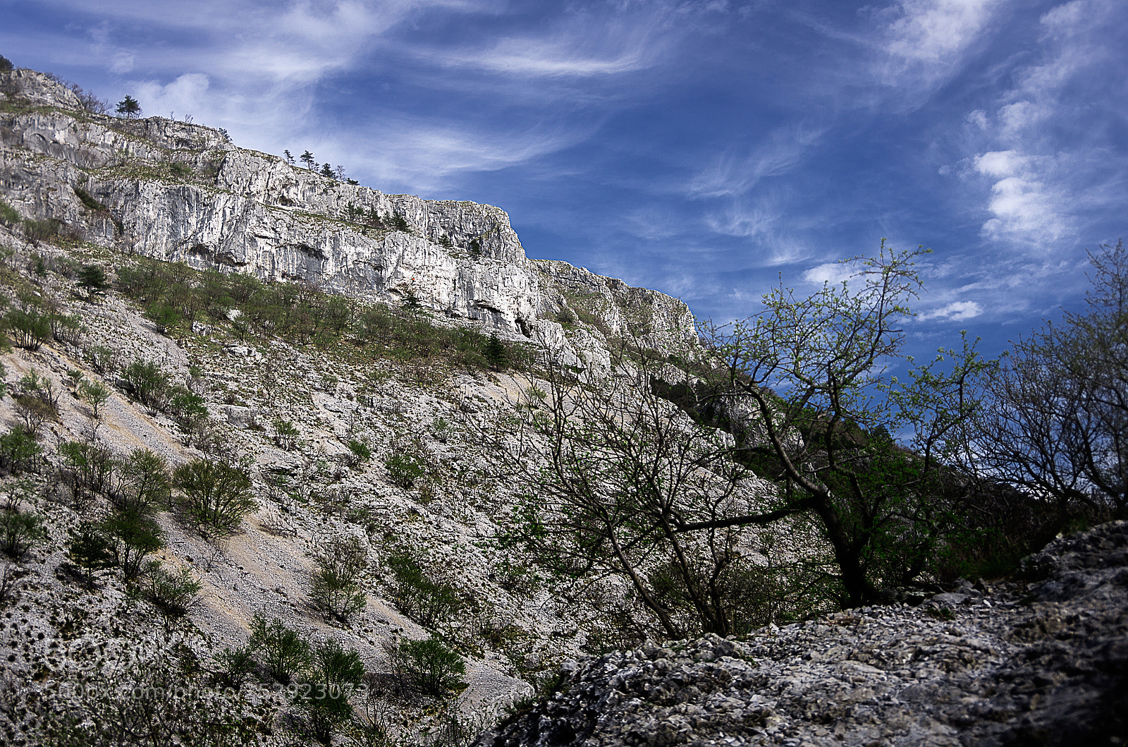Pentax K-5 sample photo. Val rosandra photography