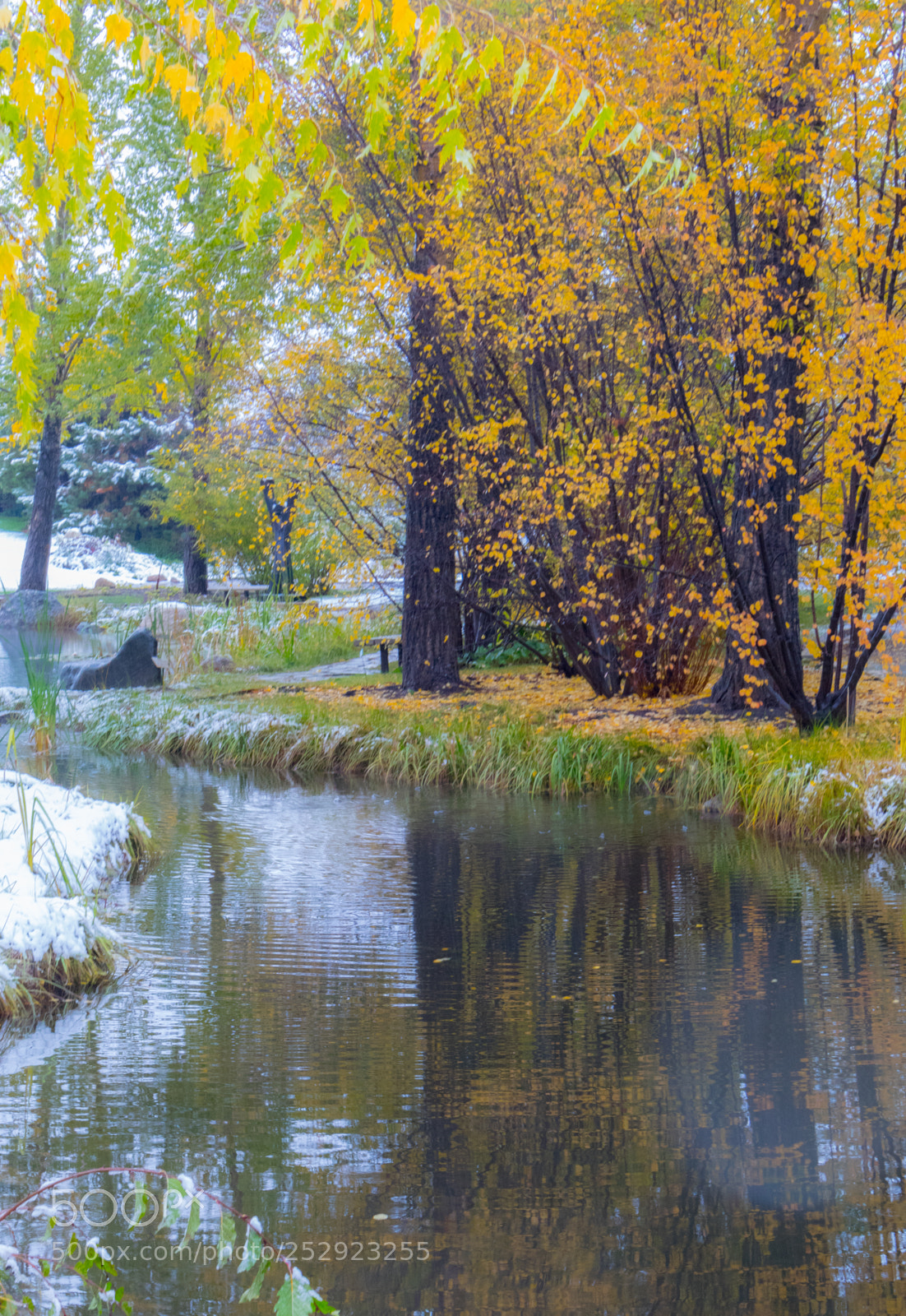Canon EOS 80D sample photo. Autumn impressions photography