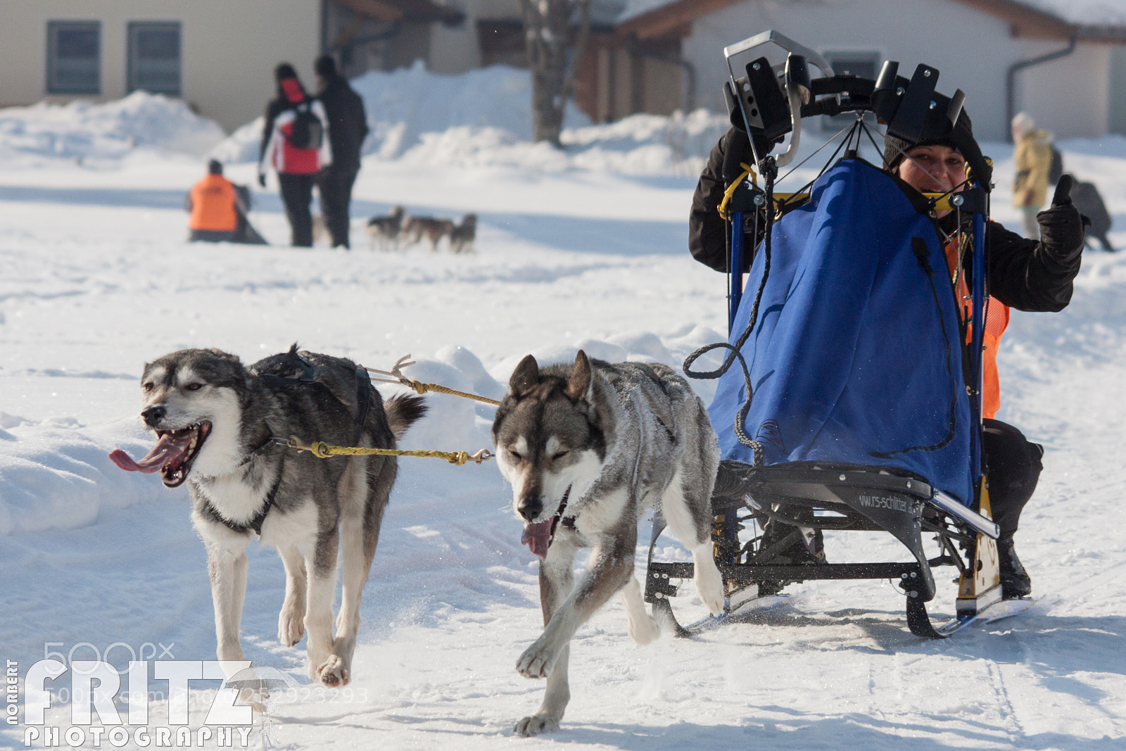 Canon EOS 50D sample photo. Schlittenhunderennen in angerberg photography