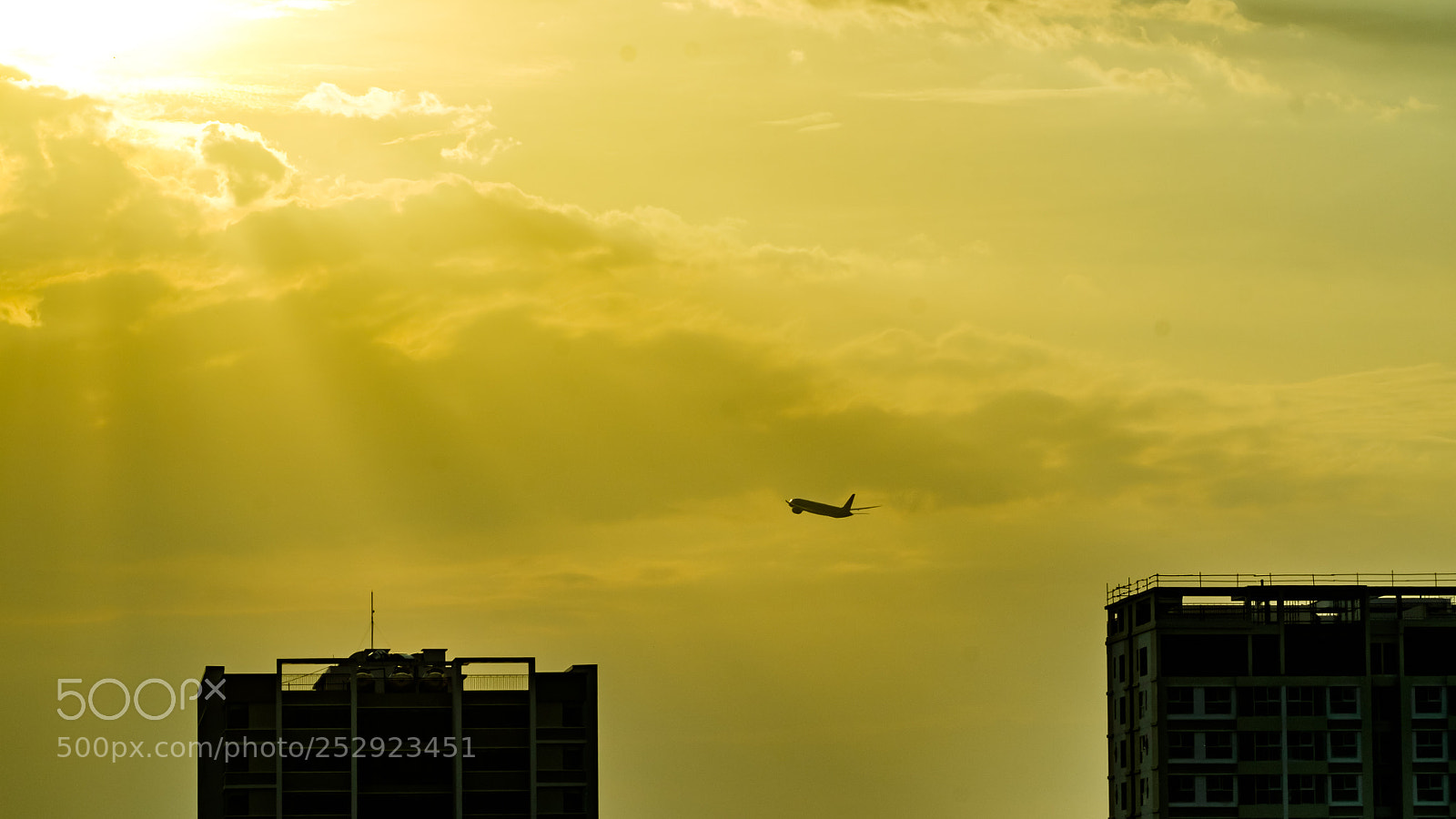 Fujifilm X-E2 sample photo. Fly to heaven photography