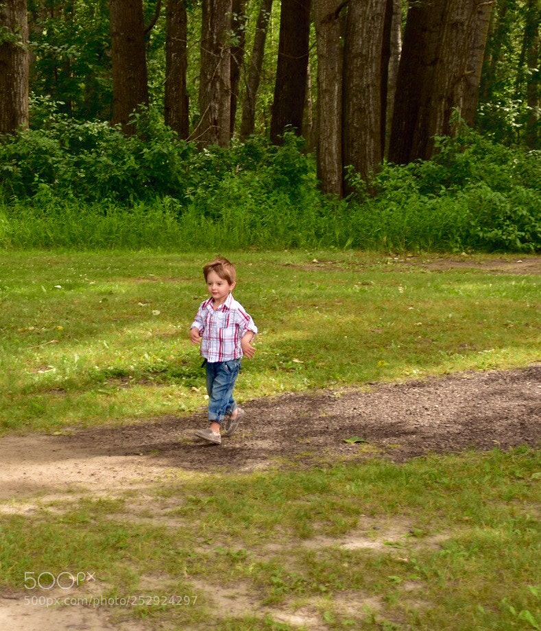 Nikon D7200 sample photo. Untitled photography