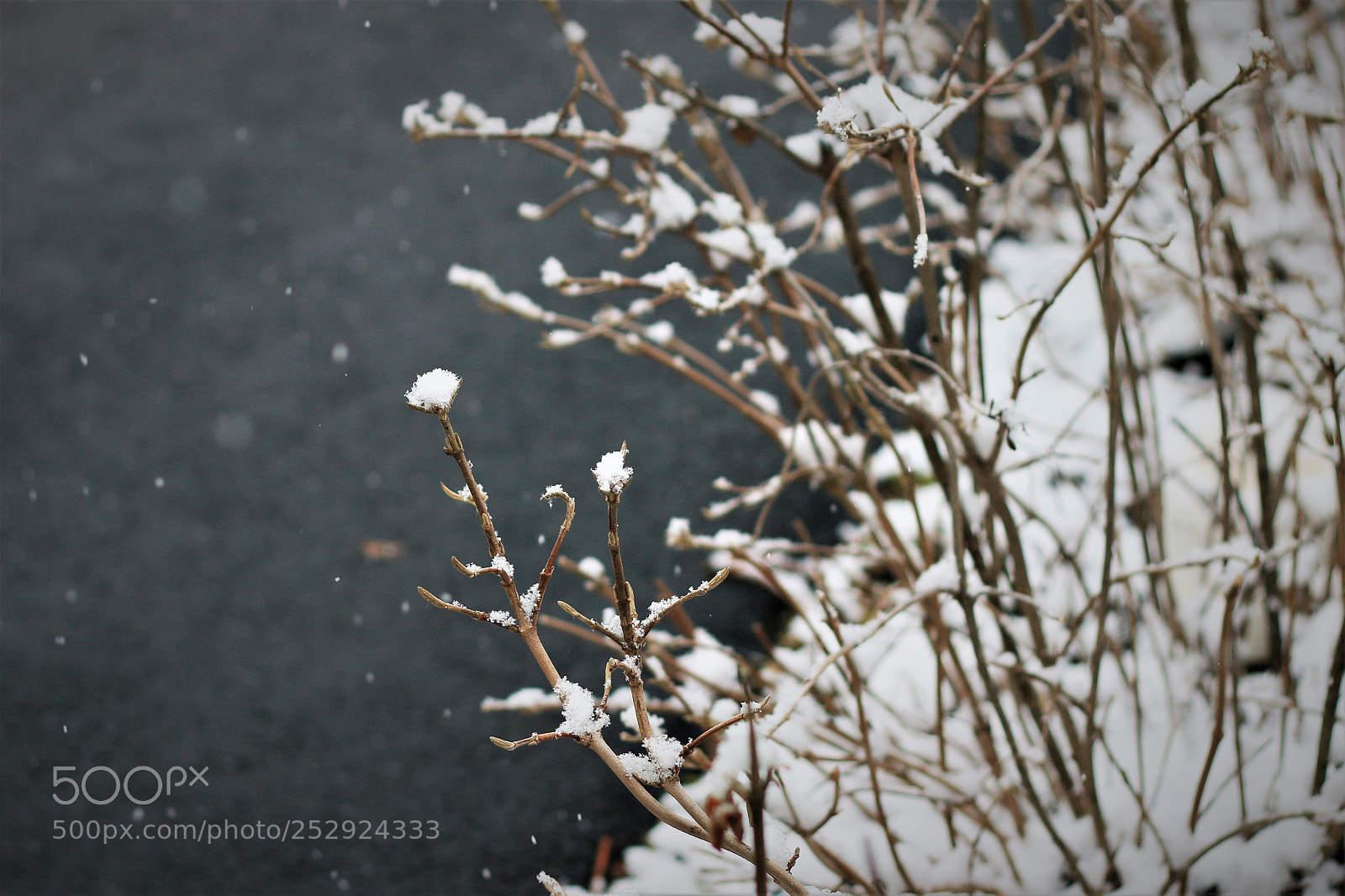 Canon EOS 70D sample photo. Snow in spring photography