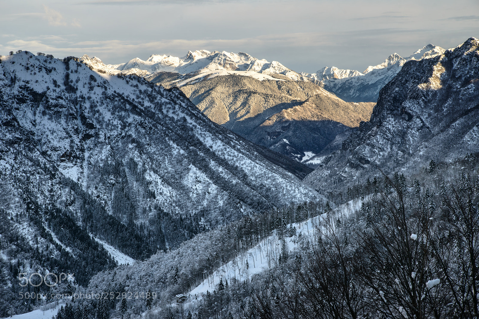 Nikon D800 sample photo. Valtorta winterscape photography