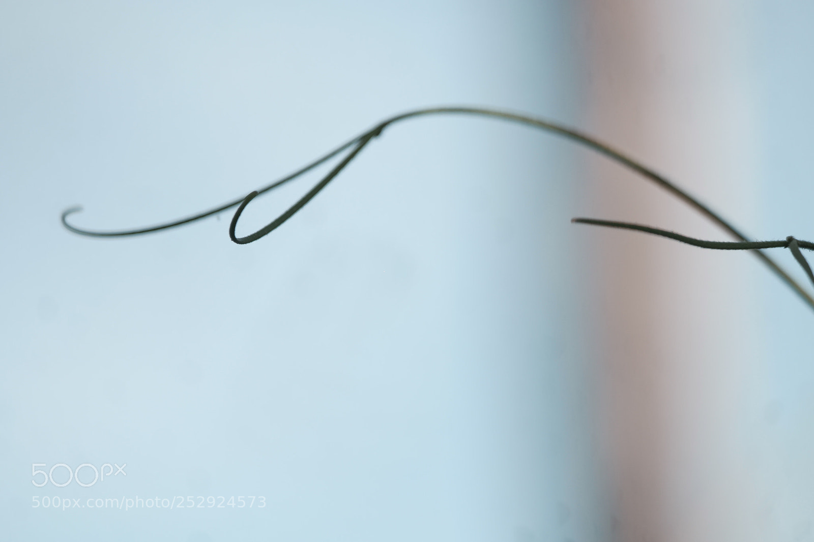Samsung NX1 sample photo. Untitled photography