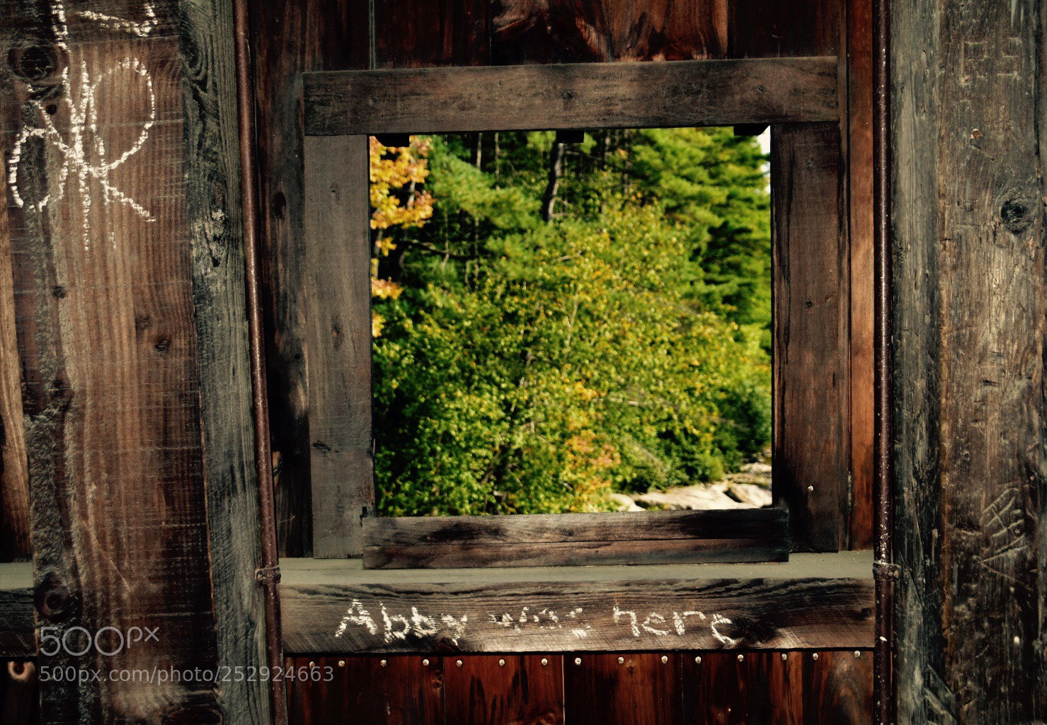 Nikon D7200 sample photo. Untitled photography