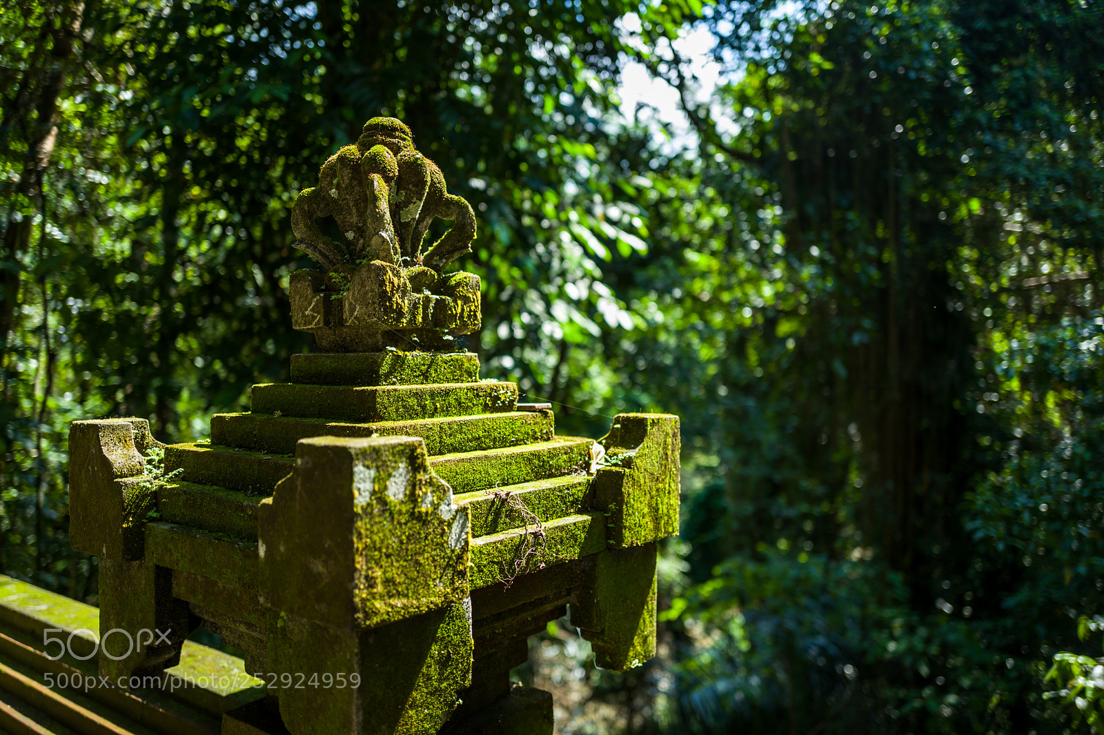 Leica Q (Typ 116) sample photo. Surrounding at the goa photography