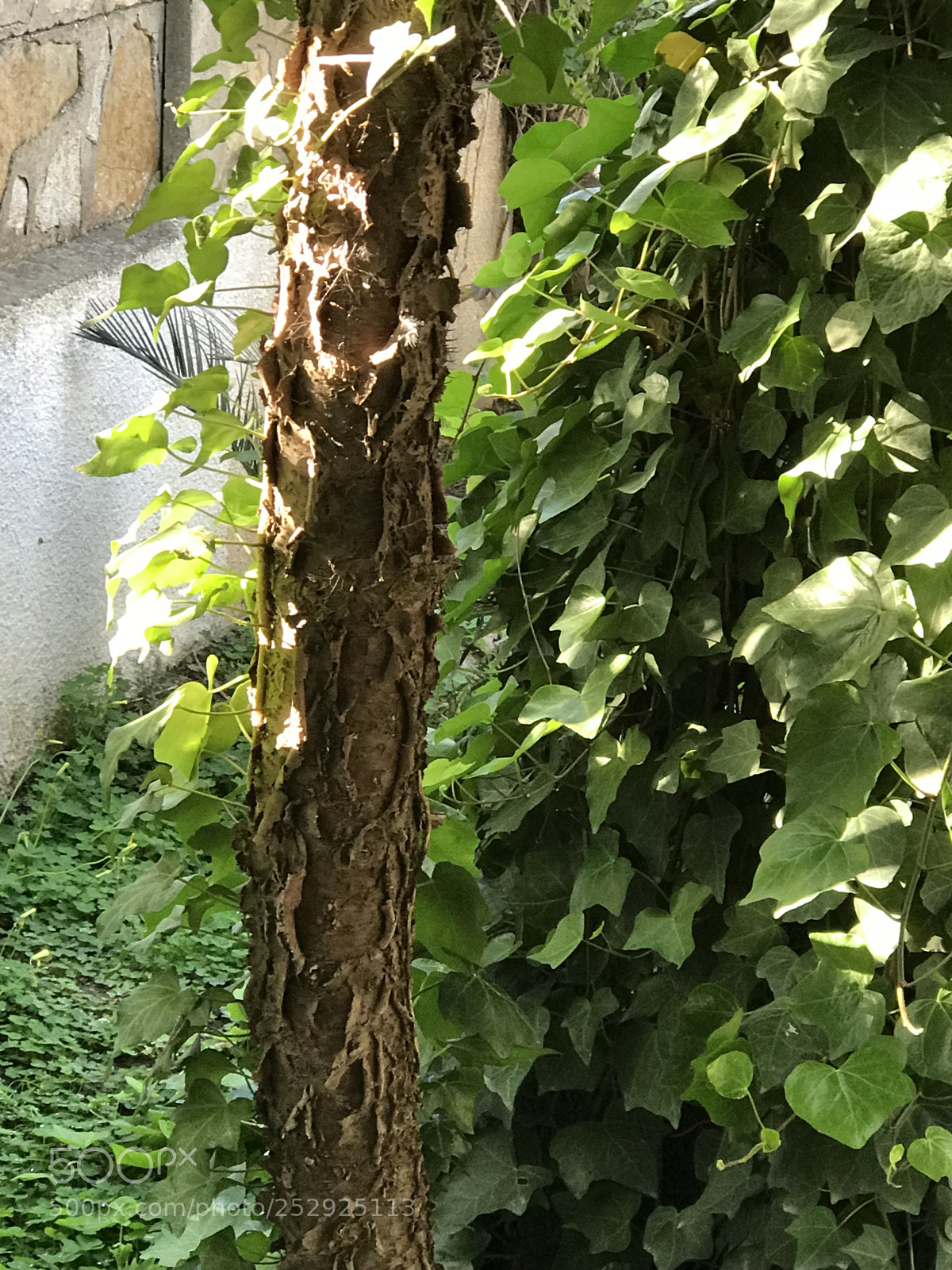 Apple iPhone 7 Plus sample photo. Untitled photography