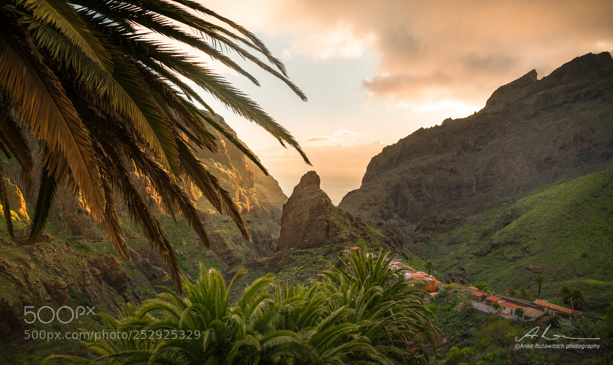 Sony a7R II sample photo. Masca photography