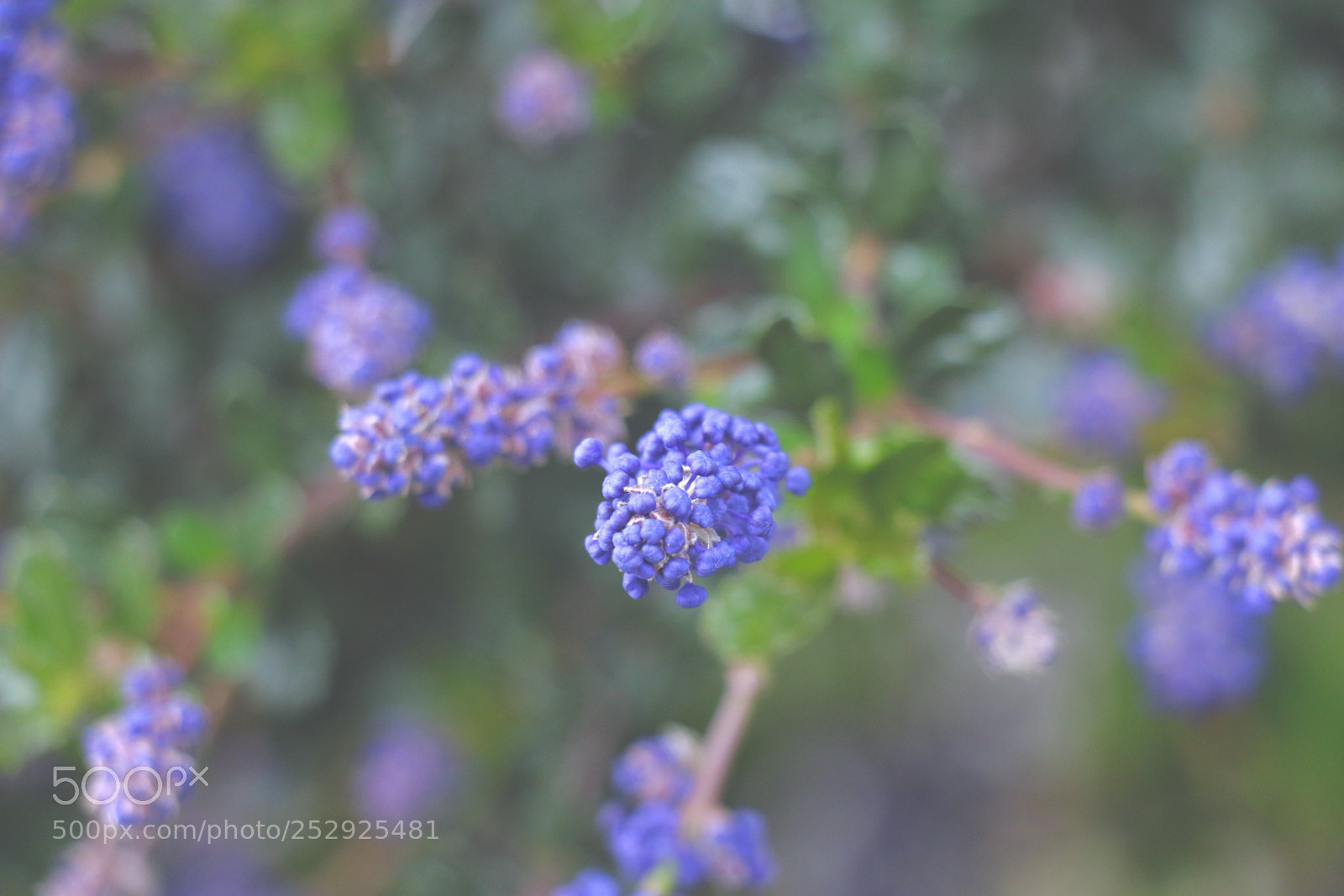 Canon EOS 70D sample photo. ... photography