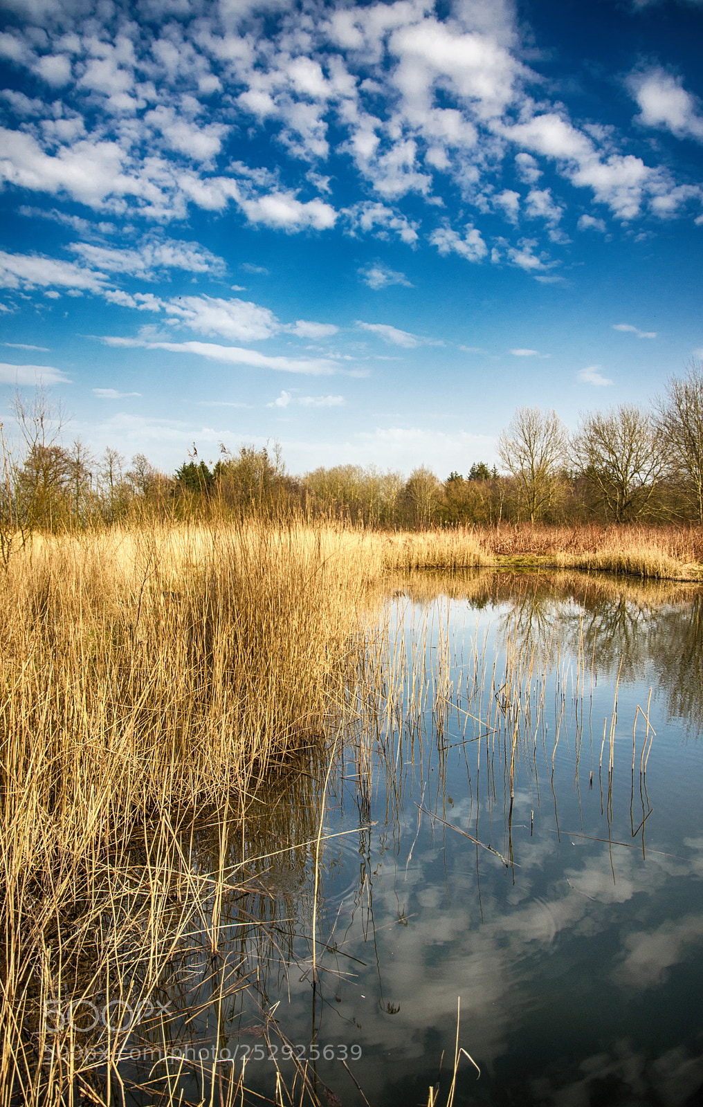 Nikon D7200 sample photo. Moorland photography