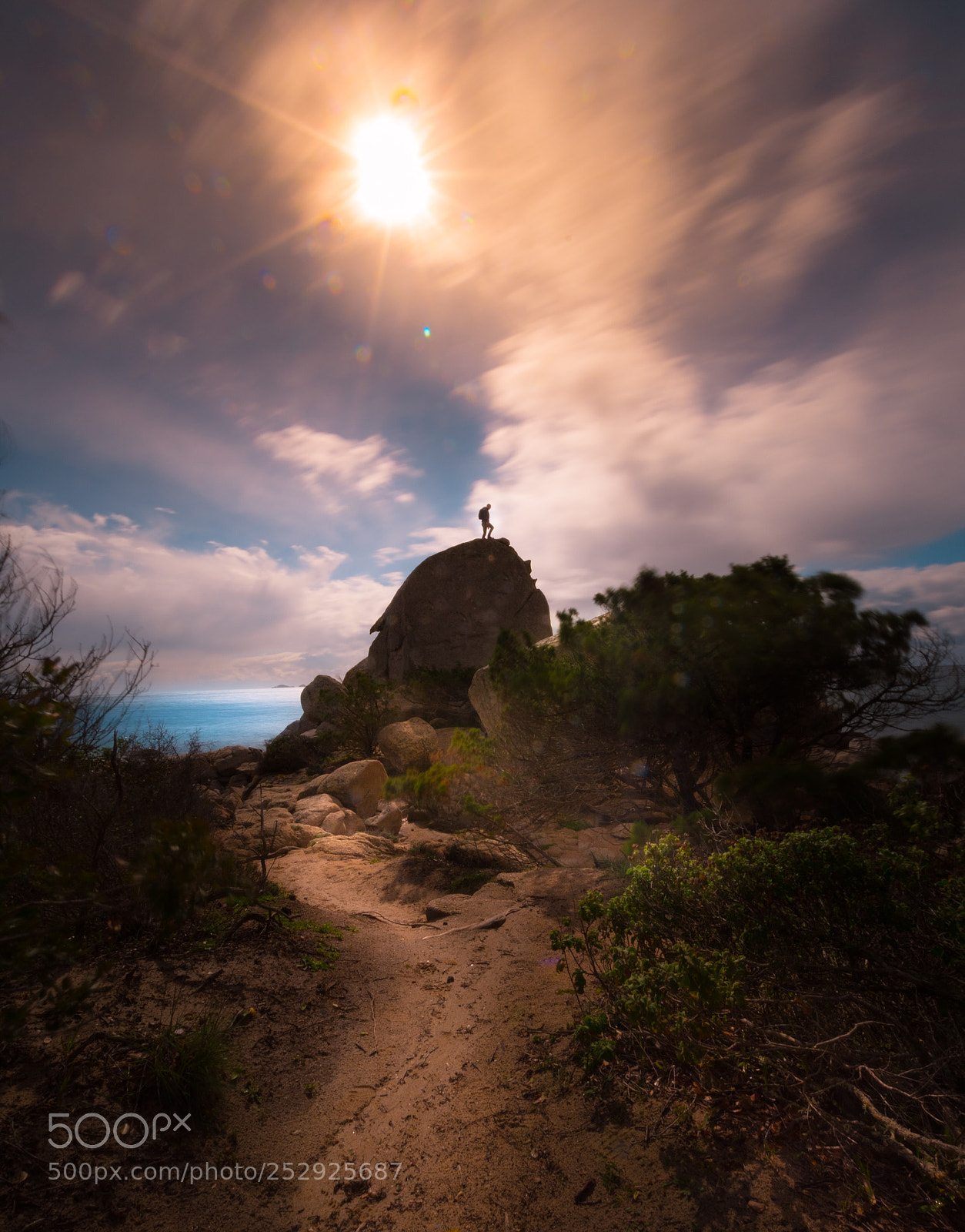 Nikon D7500 sample photo. On the rock || palombaggia photography