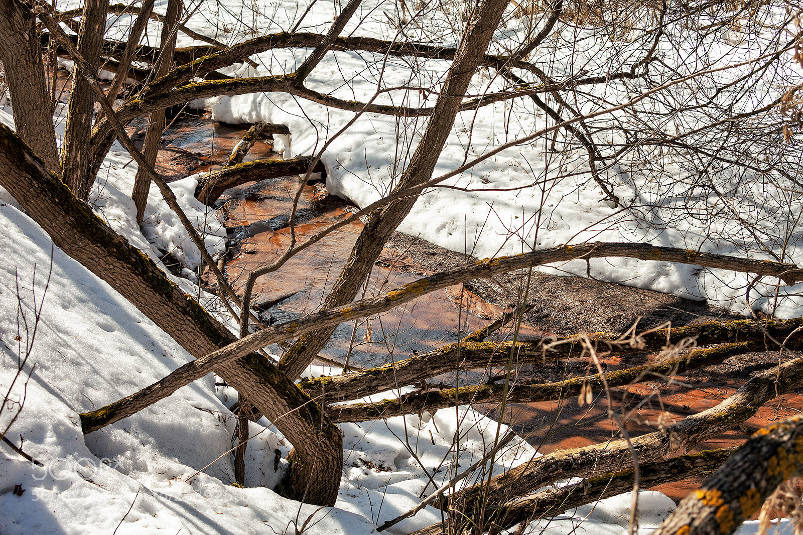 Canon EOS 5D Mark II sample photo. Карлутский лес photography