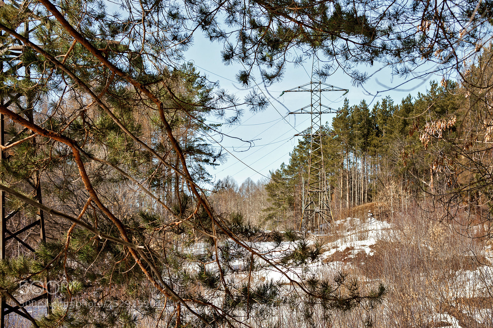 Canon EOS 5D Mark II sample photo. Карлутский лес photography