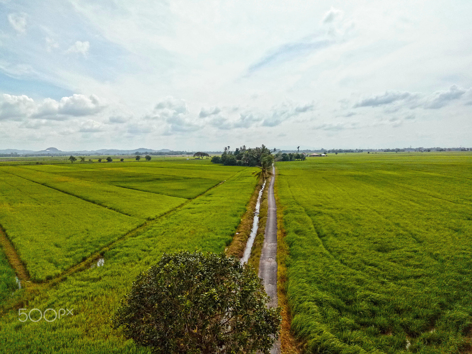 OPPO CPH1715 sample photo. Anak bukit paddy field photography