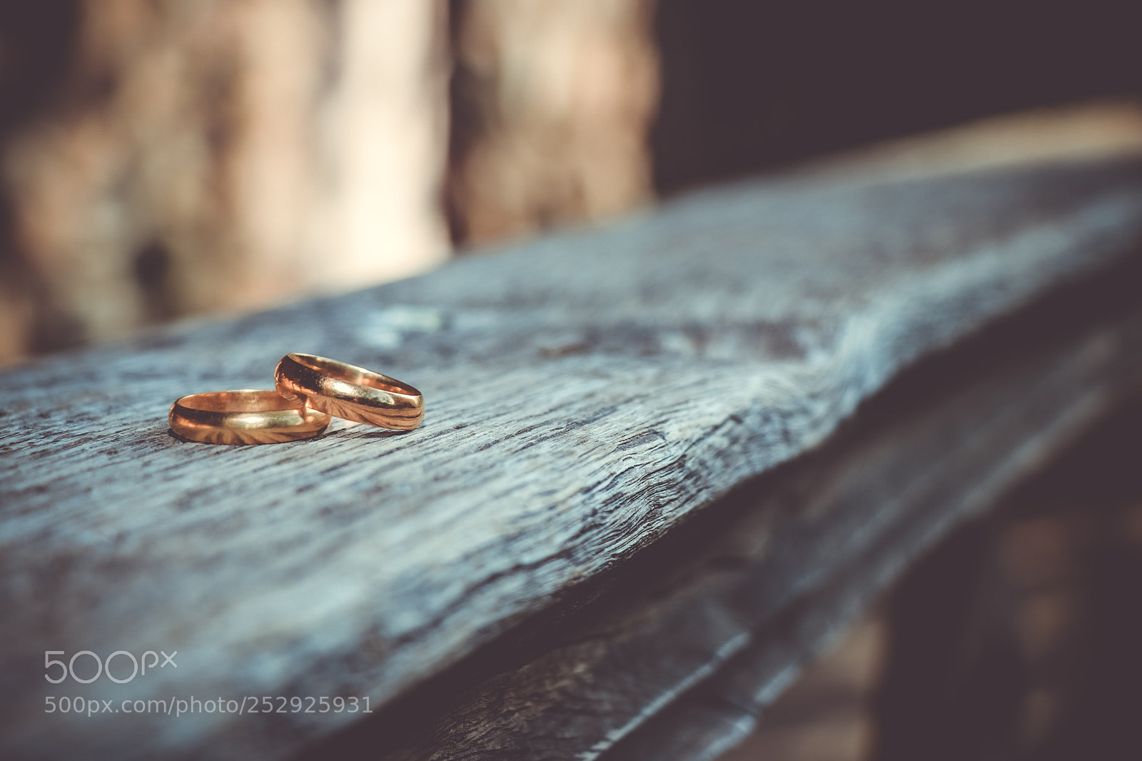 Canon EOS 80D sample photo. Untitled photography
