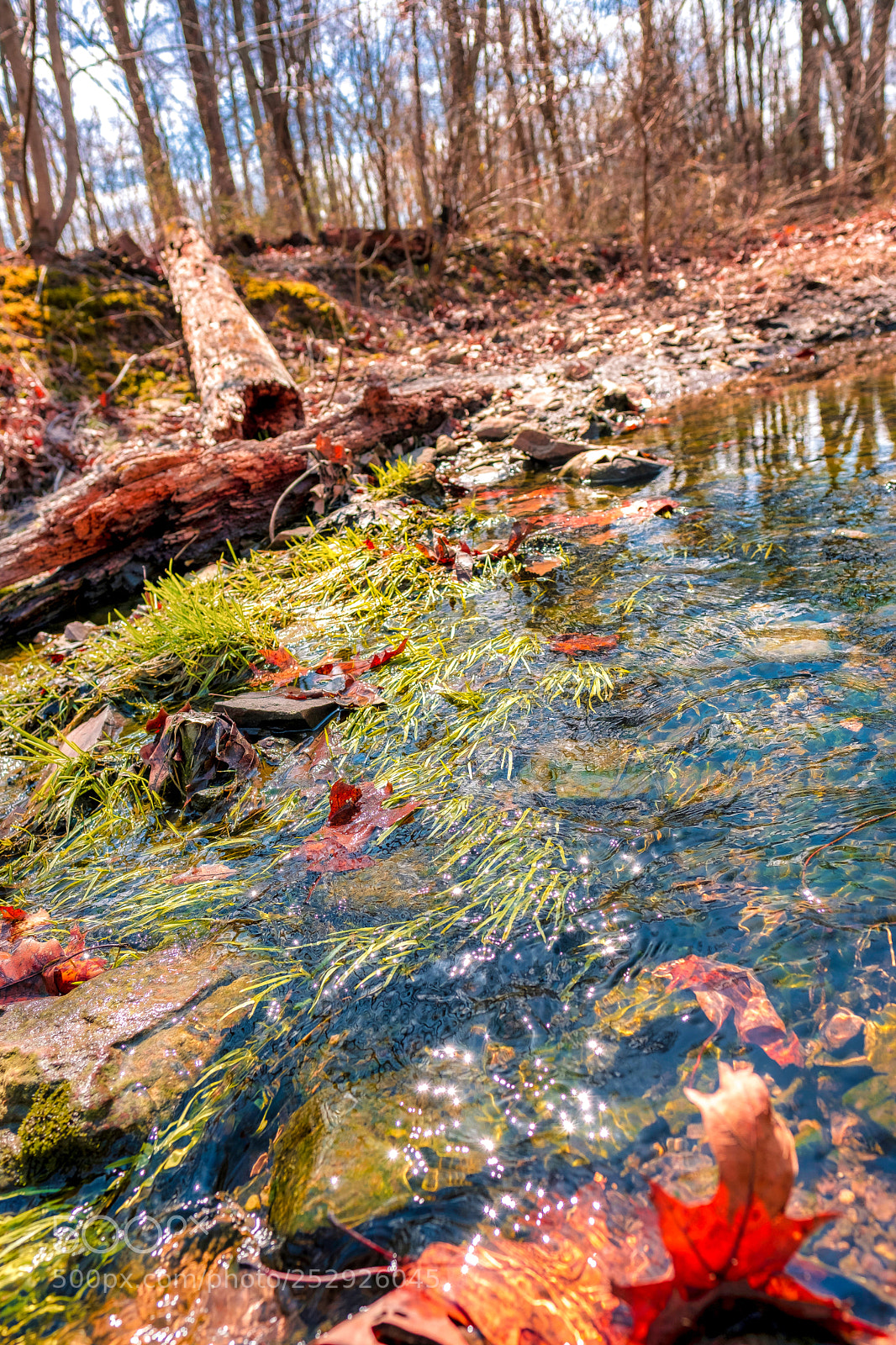 Fujifilm X-T2 sample photo. Creek in woods photography