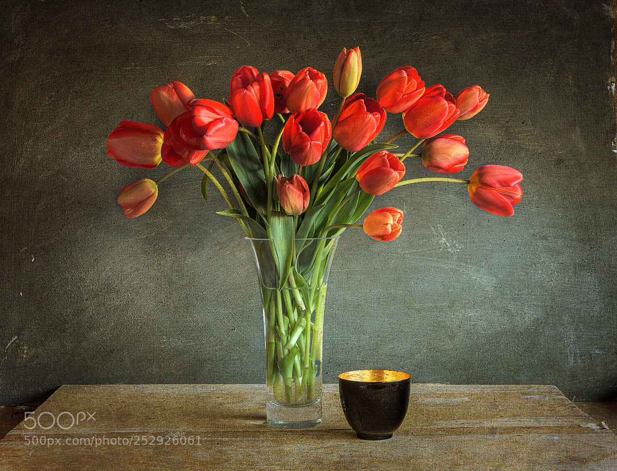 Canon EOS 5D Mark II sample photo. Tulips photography