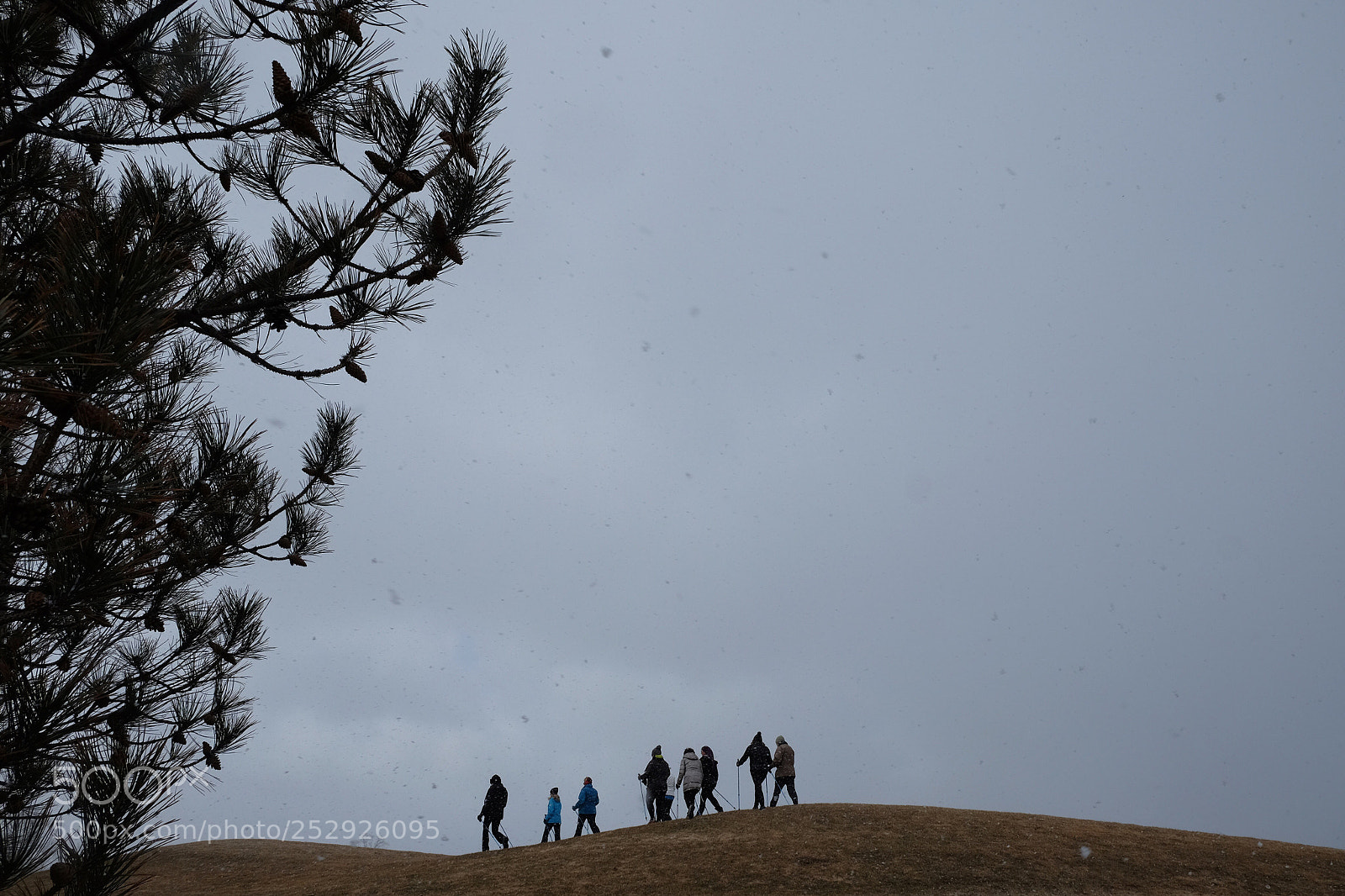 Fujifilm X-T10 sample photo. Nordic walking  photography