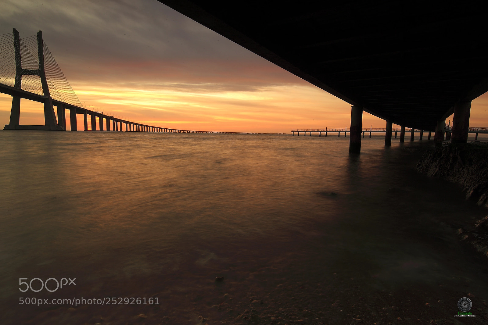 Canon EOS-1D X sample photo. Ponte vasco da gama photography