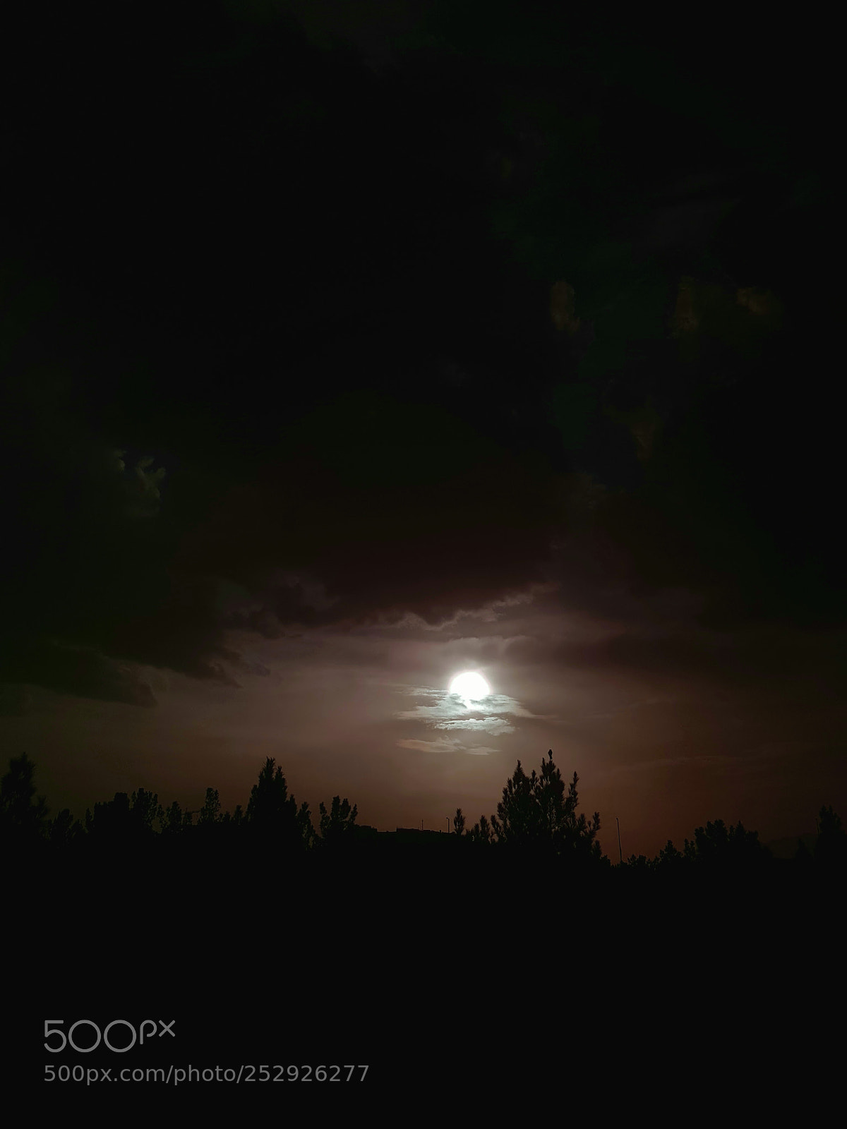 Samsung Galaxy S8+ sample photo. Untitled photography