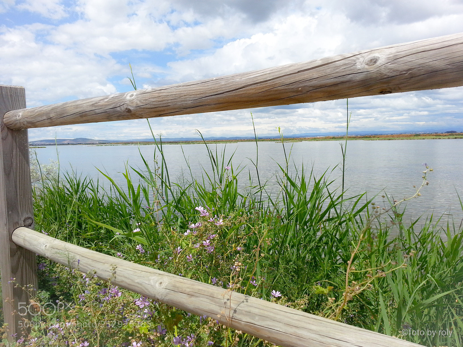 Samsung Galaxy Note2 sample photo. Camarque photography