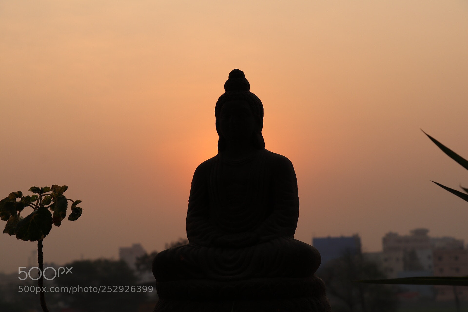 Canon EOS 80D sample photo. Untitled photography