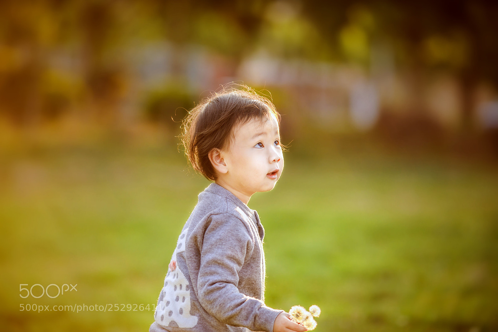Canon EOS 5D Mark IV sample photo. Untitled photography