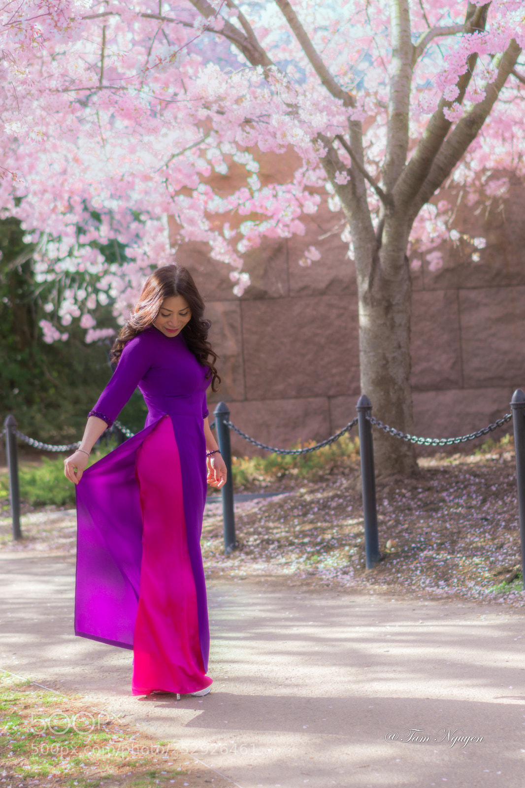 Sony a6000 sample photo. Ao dai _ cherry blossom photography