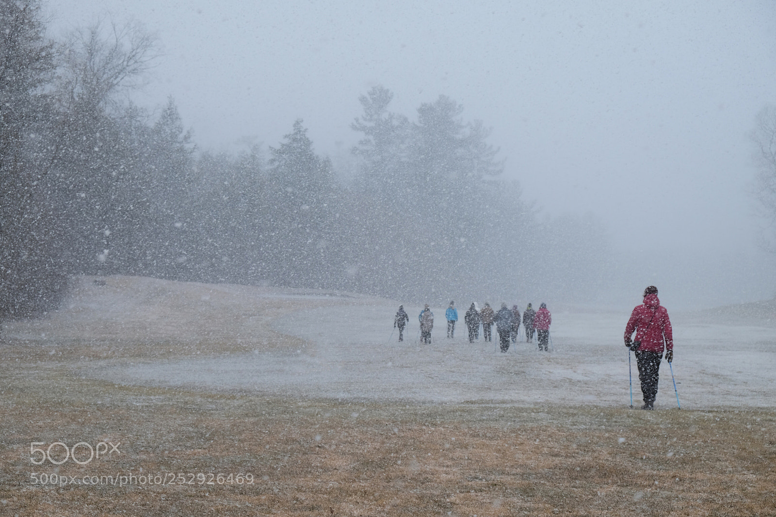 Fujifilm X-T10 sample photo. Snow squalls in springtime  photography