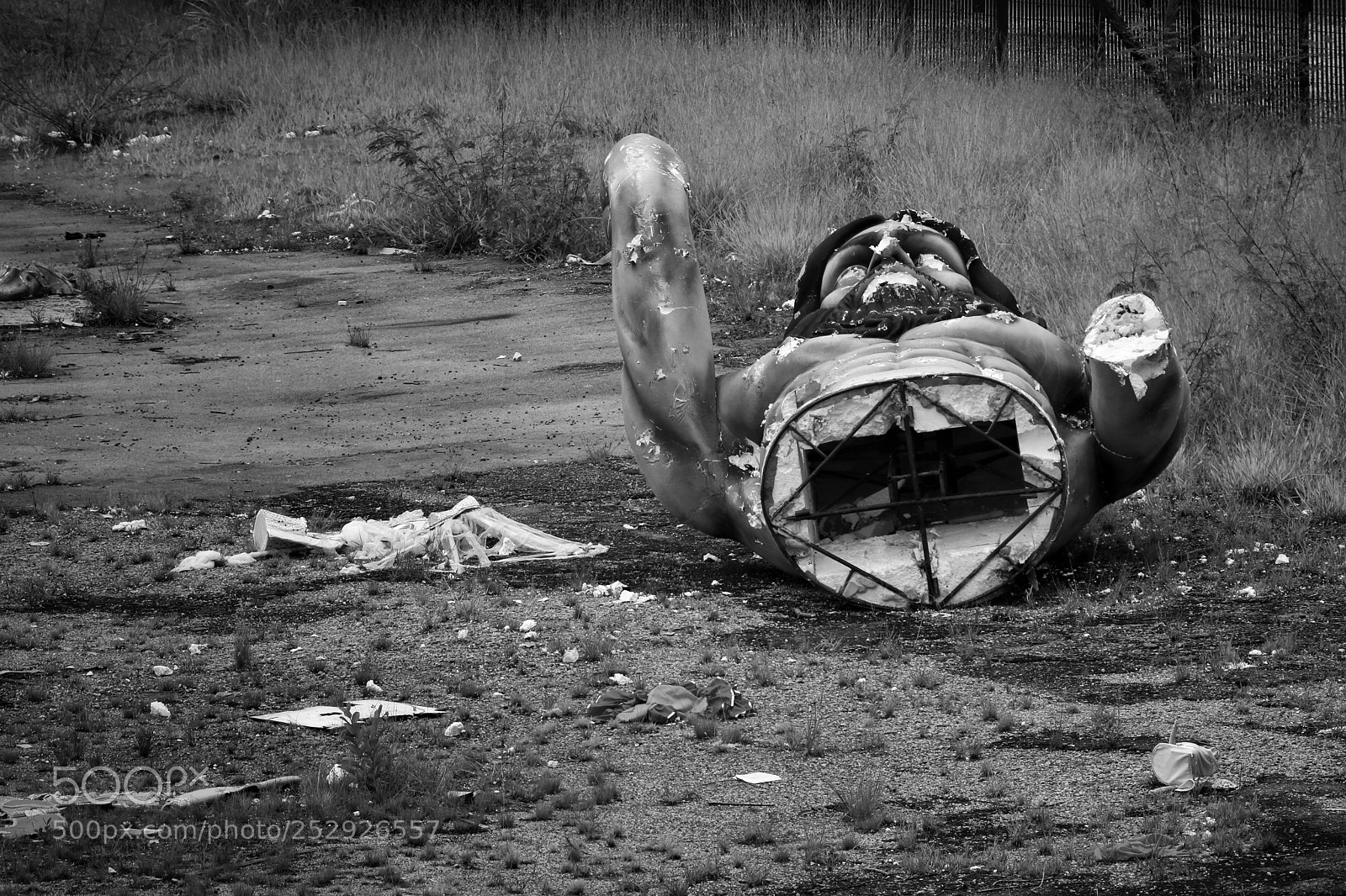 Canon EOS 750D (EOS Rebel T6i / EOS Kiss X8i) sample photo. Fallen.giant. photography