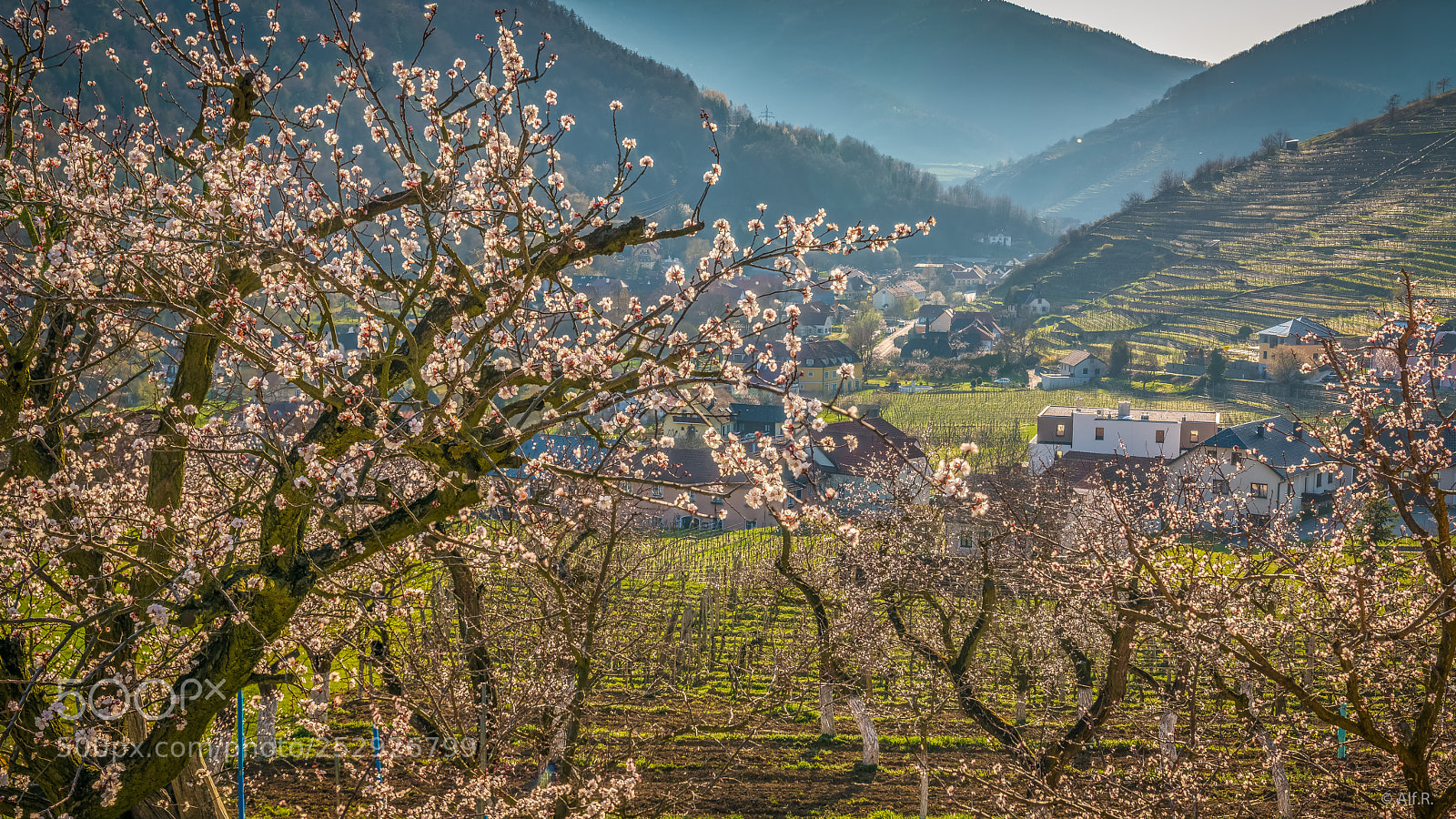 Sony a7R II sample photo. This is the wachau photography