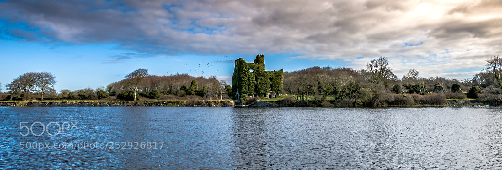 Nikon D3 sample photo. Menlo castle ireland photography