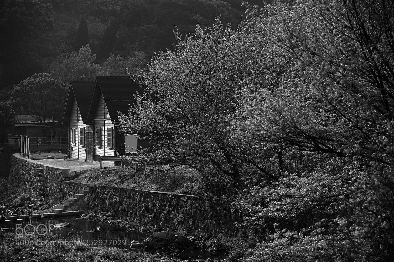 Canon EOS-1Ds Mark III sample photo. Hut~ photography