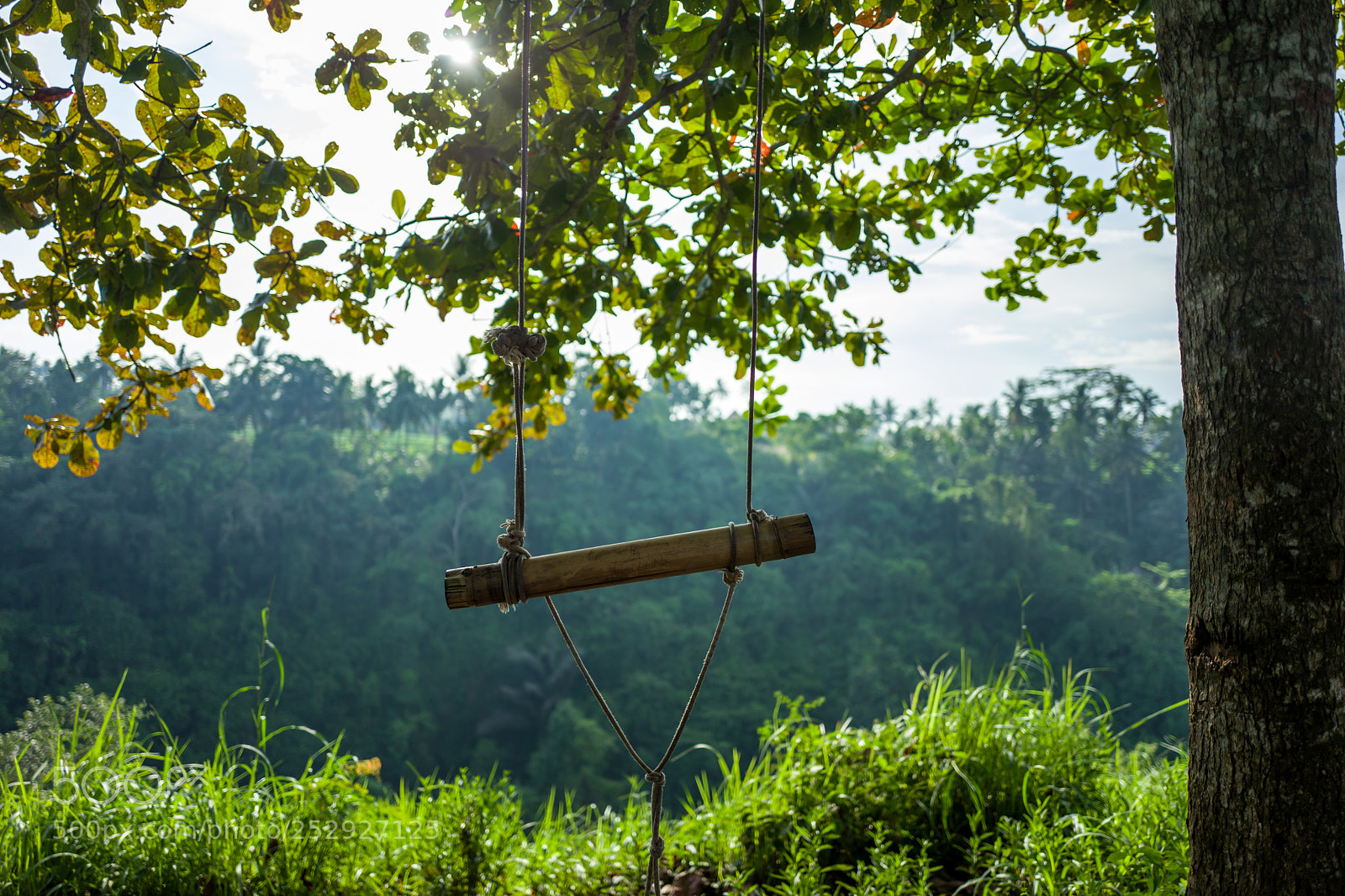 Leica Q (Typ 116) sample photo. Swing at the campuhan photography