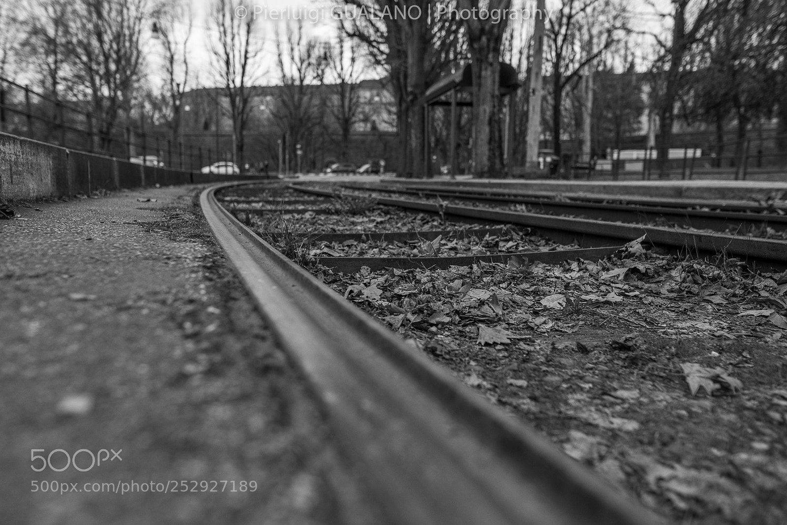 Nikon D850 sample photo. Tracks photography