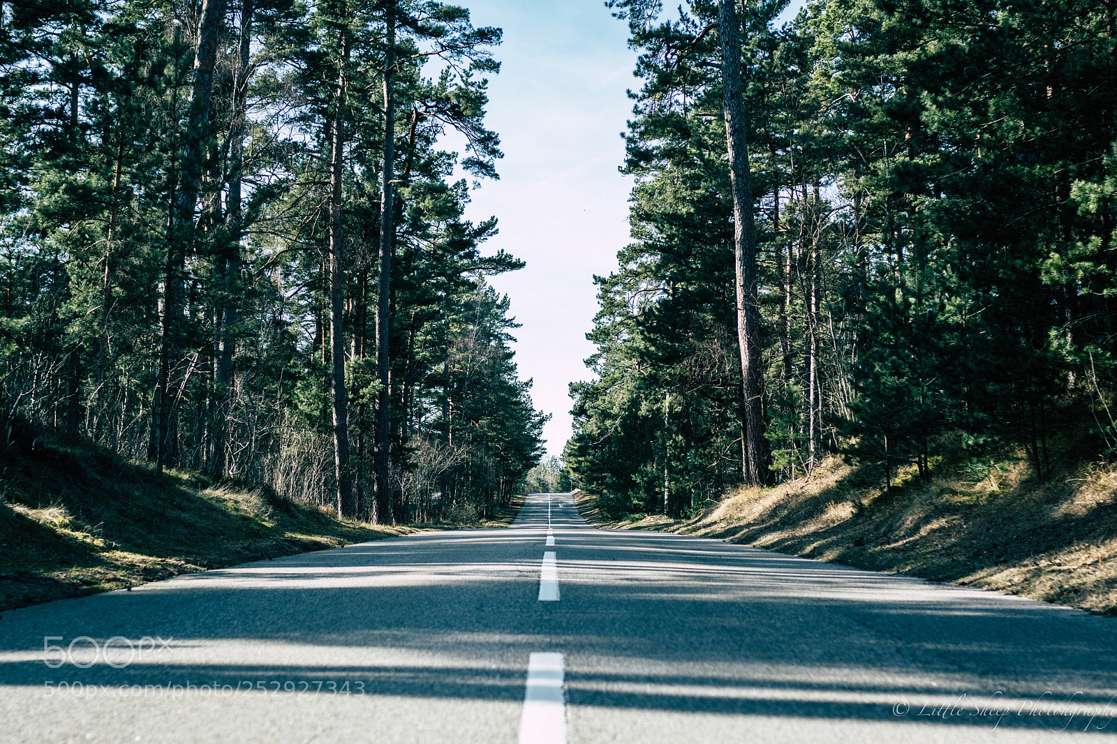 Nikon D500 sample photo. Road to nowhere photography