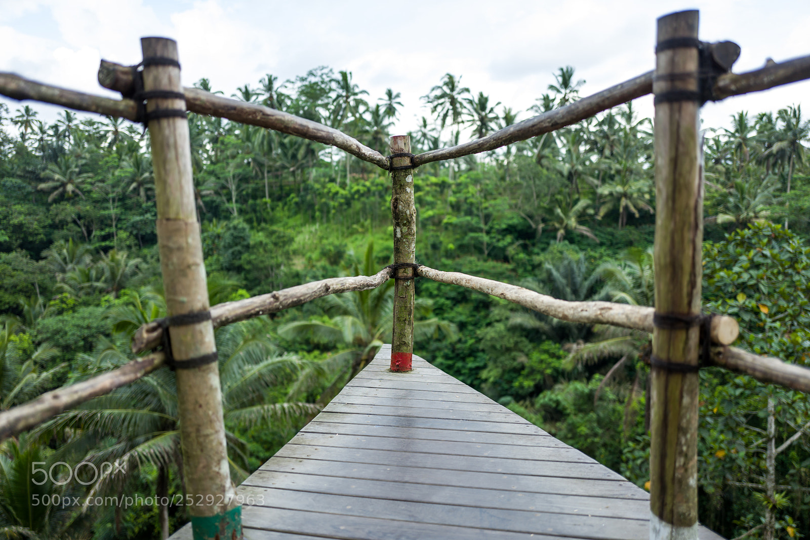 Leica Q (Typ 116) sample photo. The bali swing area photography