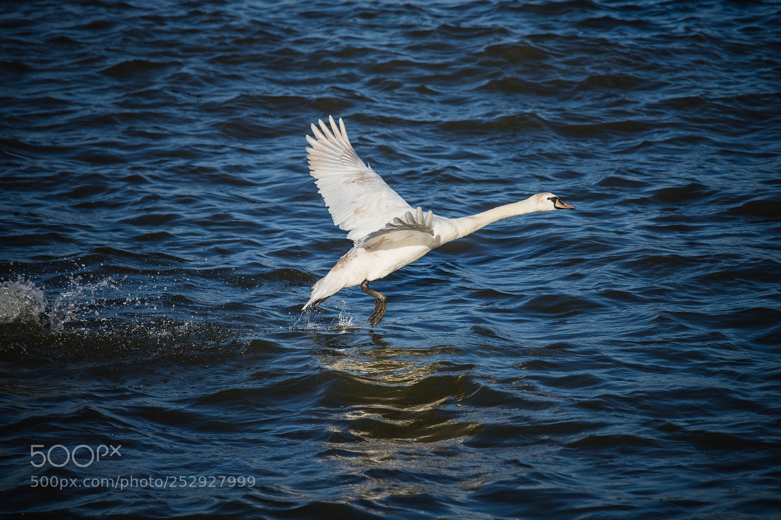 Canon EOS 6D Mark II sample photo. Takeoff photography