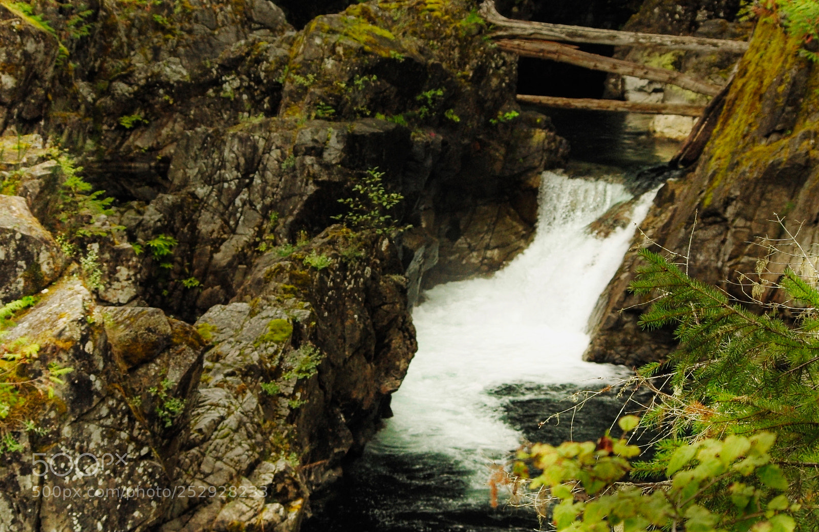 Pentax K200D sample photo. Qualicum river canyon photography