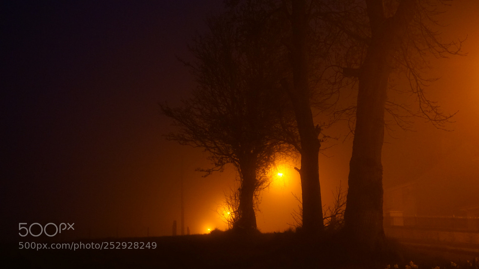 Sony a6000 sample photo. Fog photography