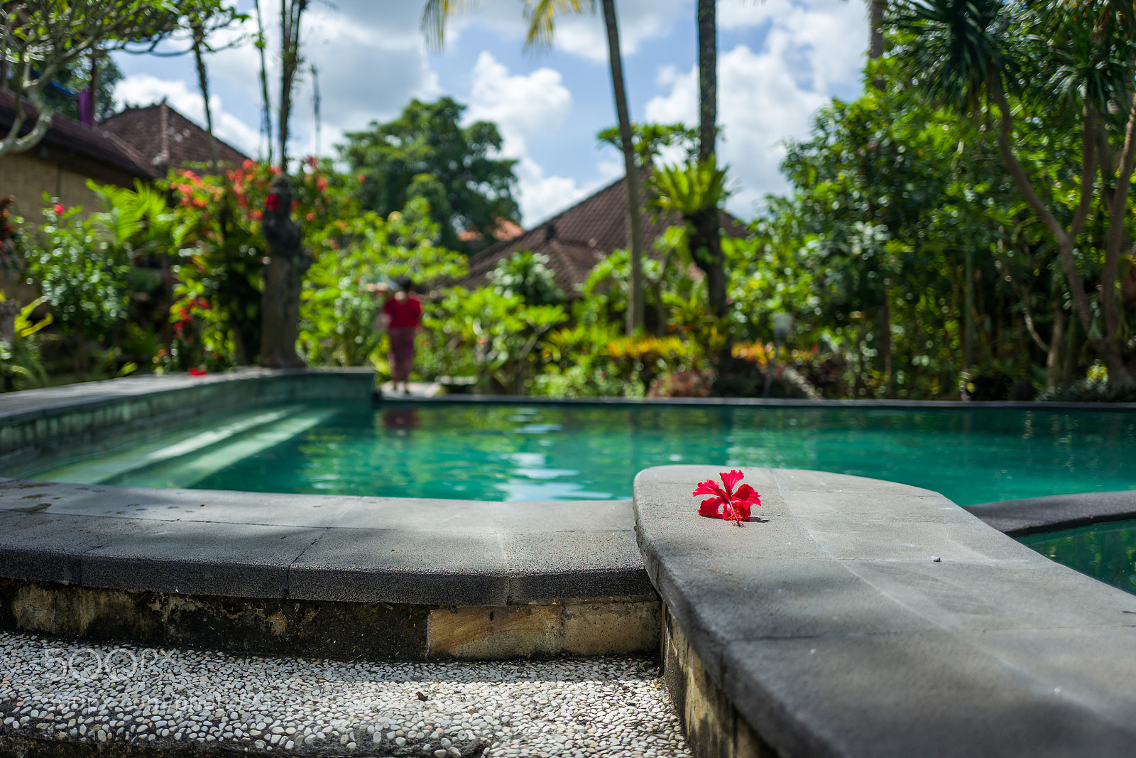 Leica Q (Typ 116) sample photo. View on a pool photography
