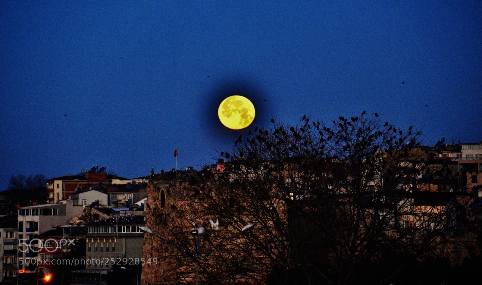 Nikon D7000 sample photo. Full moon photography