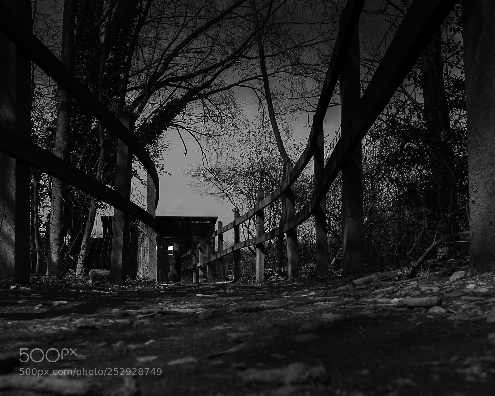 Nikon D3300 sample photo. Hidden figure photography