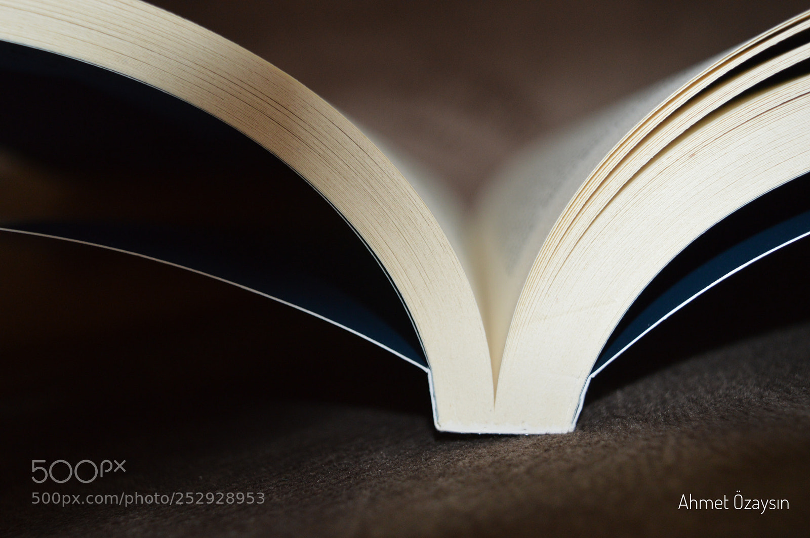 Nikon D3200 sample photo. Book photography