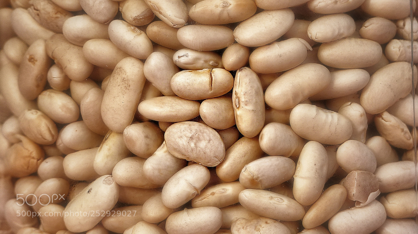 Panasonic Lumix DMC-FZ200 sample photo. Beans beans and ... beans photography